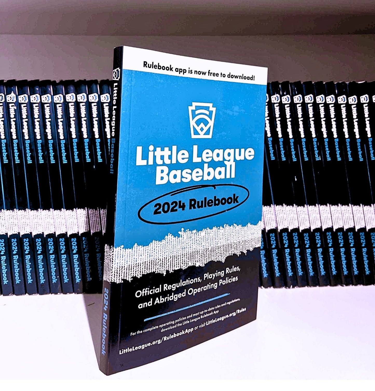 2025 Baseball Rule Book