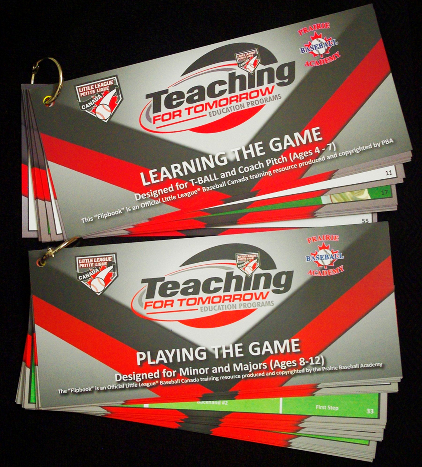 Teaching for Tomorrow Flip Book