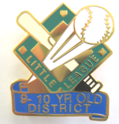9-10 Year Old District Pin